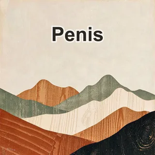 Penis